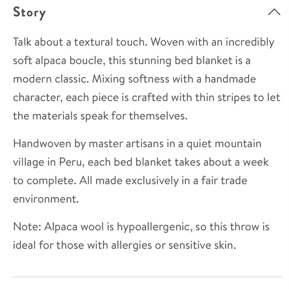 The Citizenry Handcrafted Peruvian Textile - Picture 4 of 9